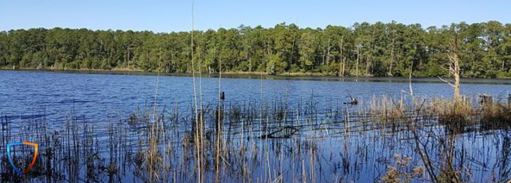 Goose Creek