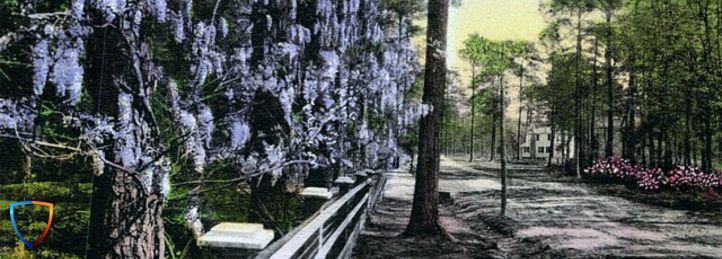 Summerville