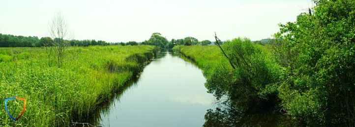 West Ashley